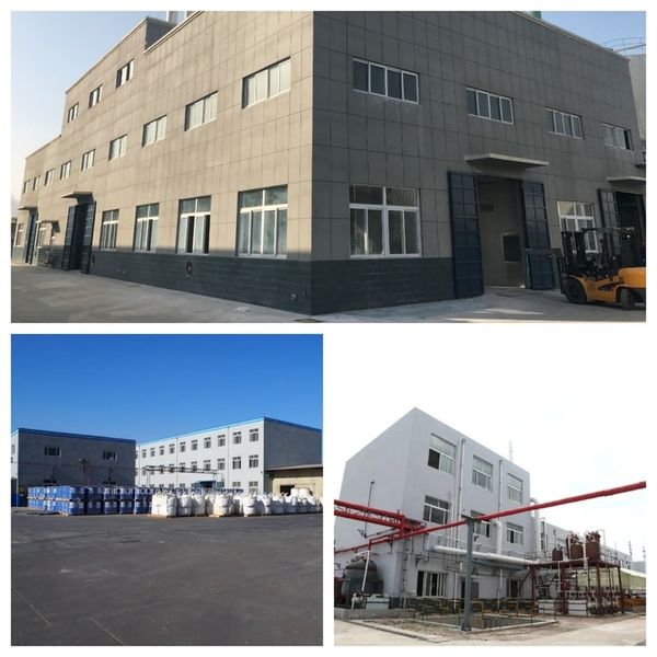 China Shandong Jiuchong Chemical Co., Ltd. Perfil da companhia